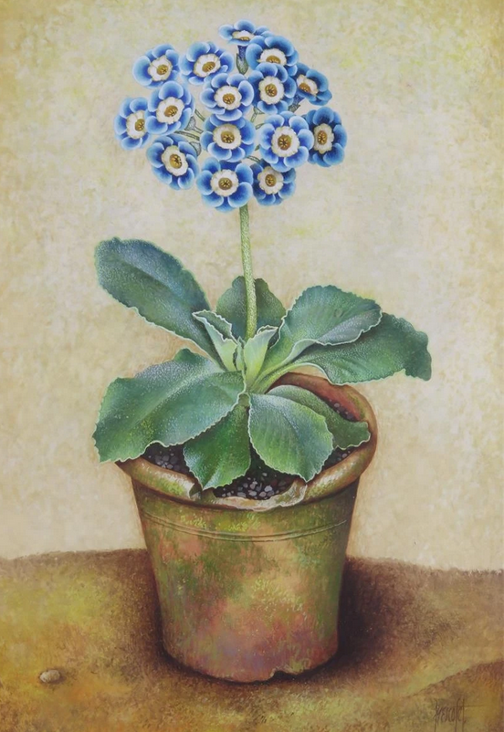 "Still lifes of Auriculas in flower pots" by José Escofet