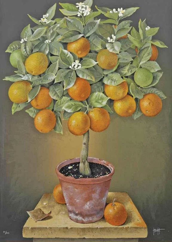 "Lemon tree; and Orange tree" by José Escofet
