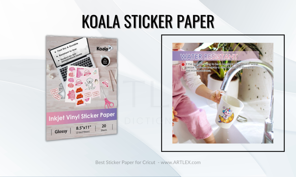 koala sticker paper