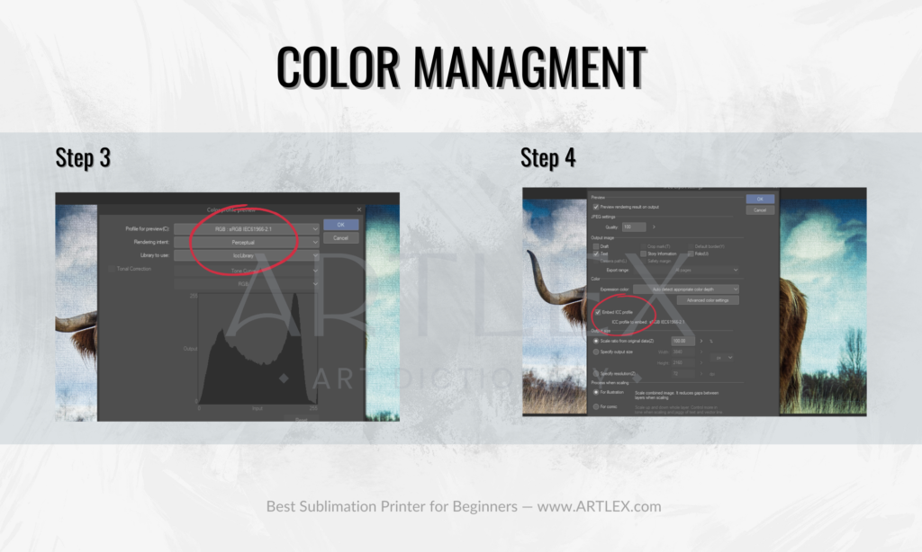 color management