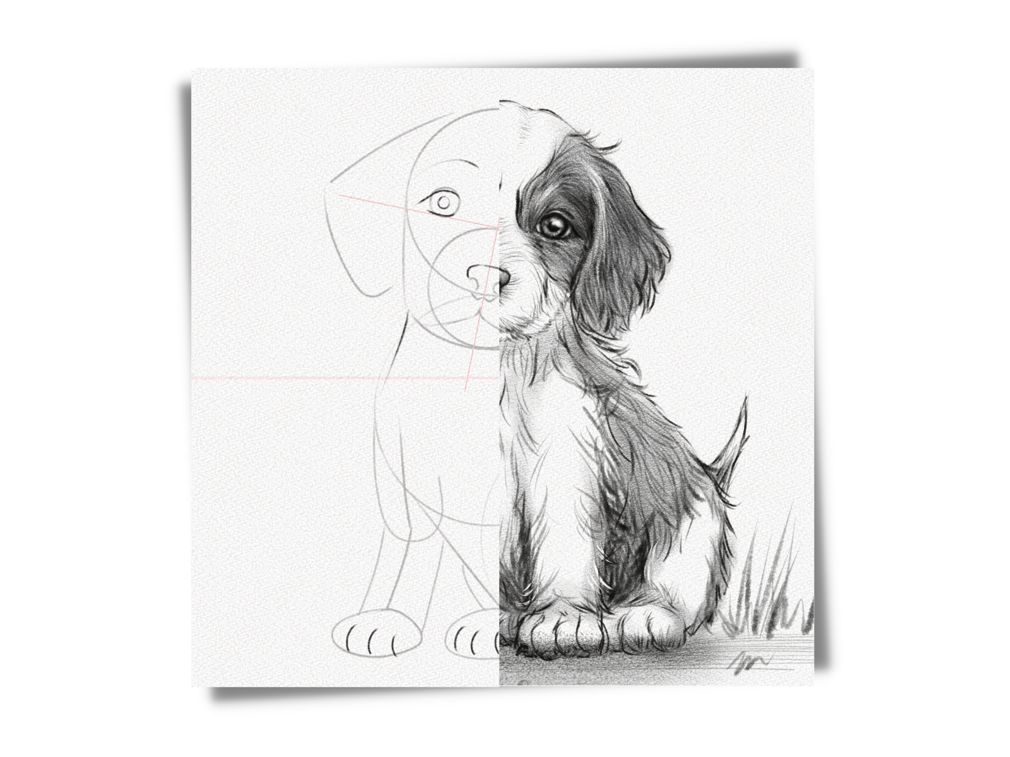 how to draw a puppy