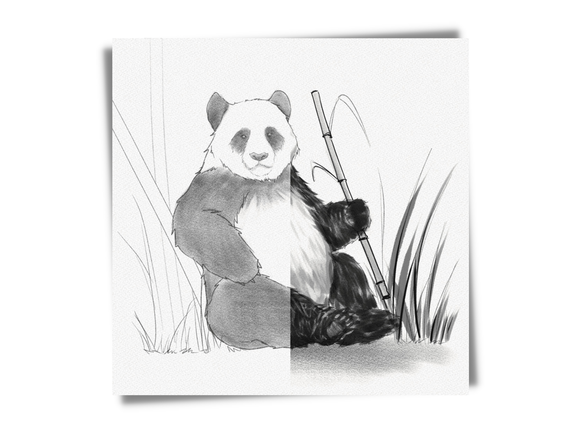 how to draw a panda