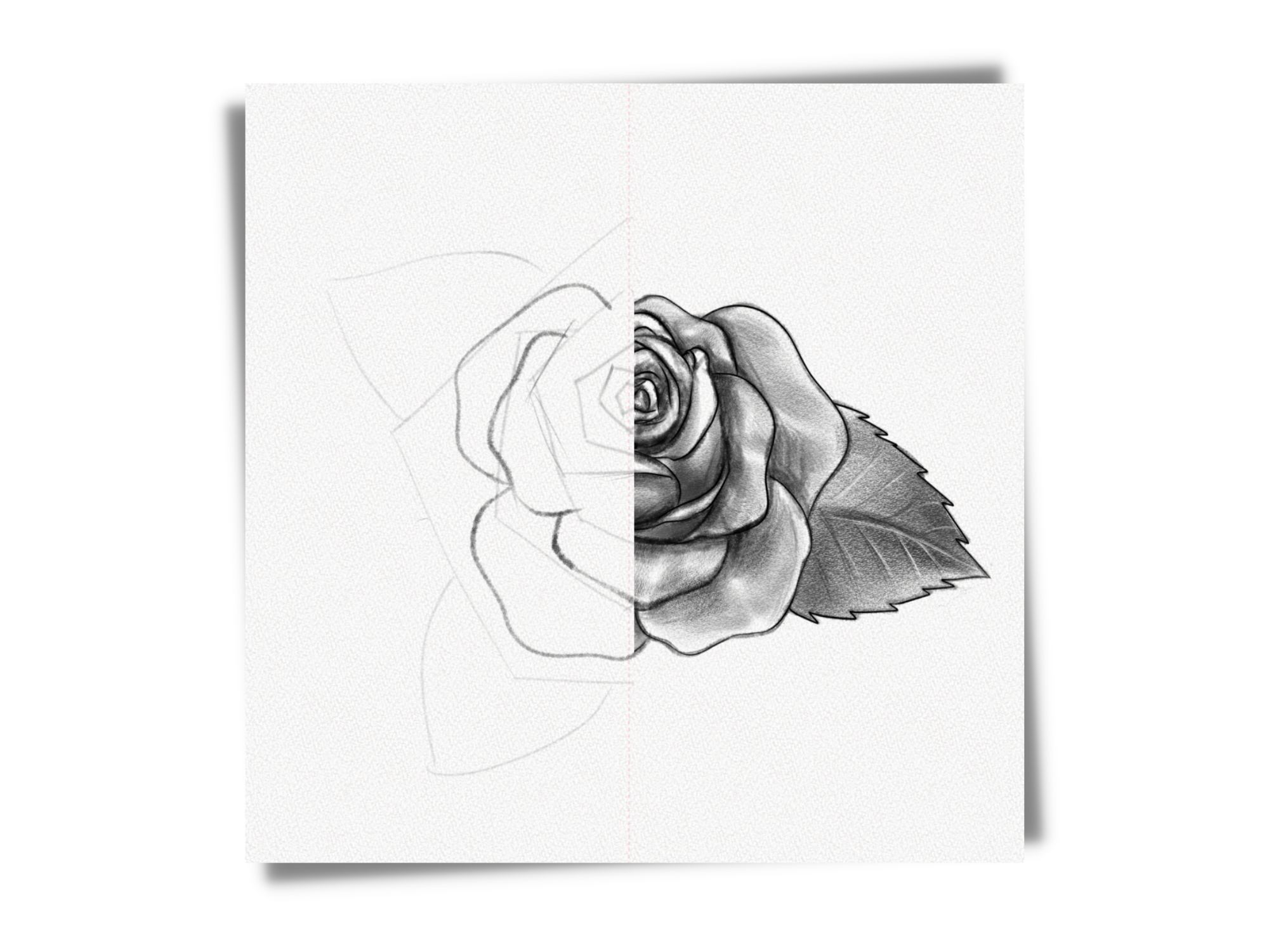 how to draw a rose