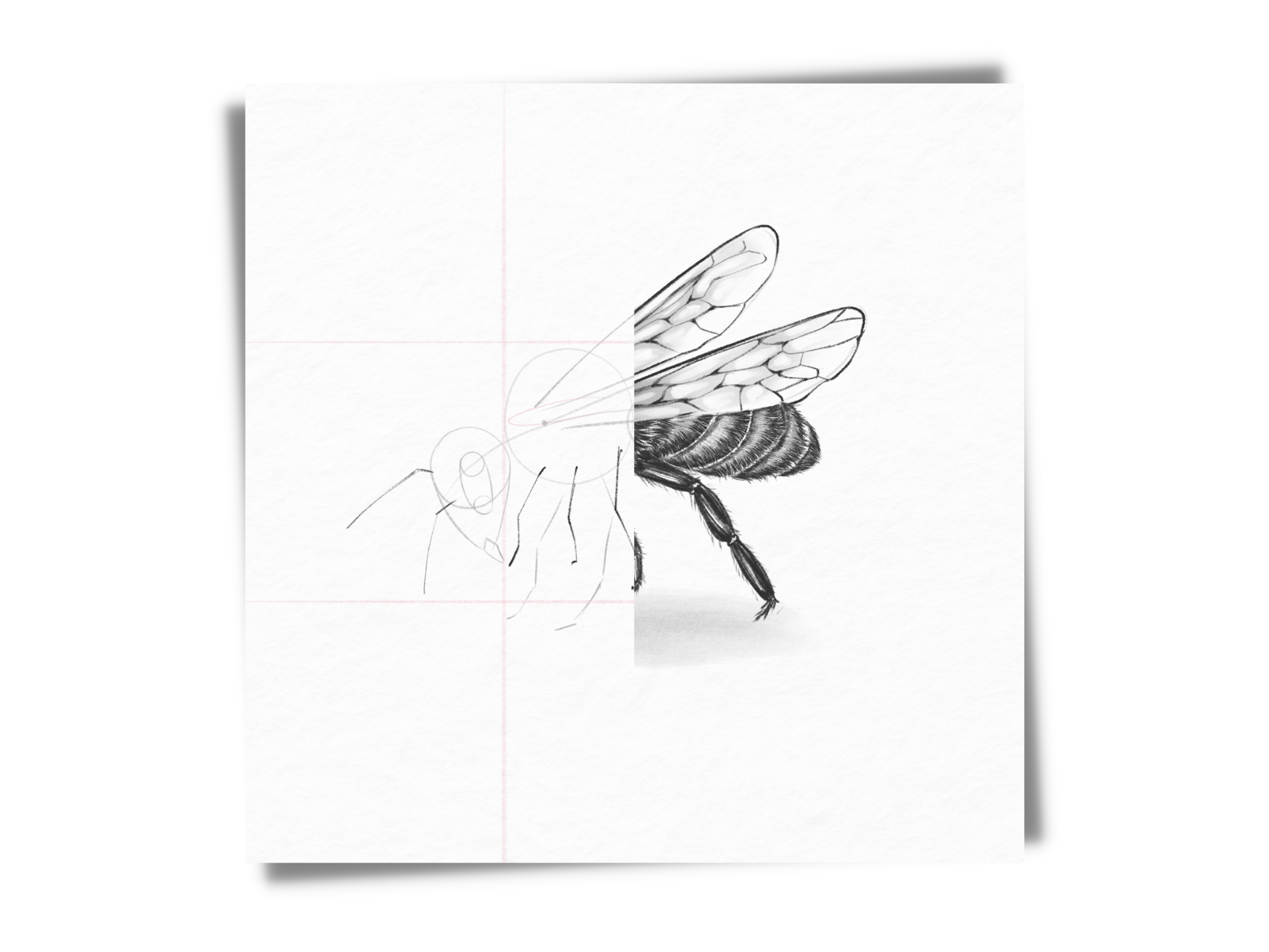 how to draw a bee