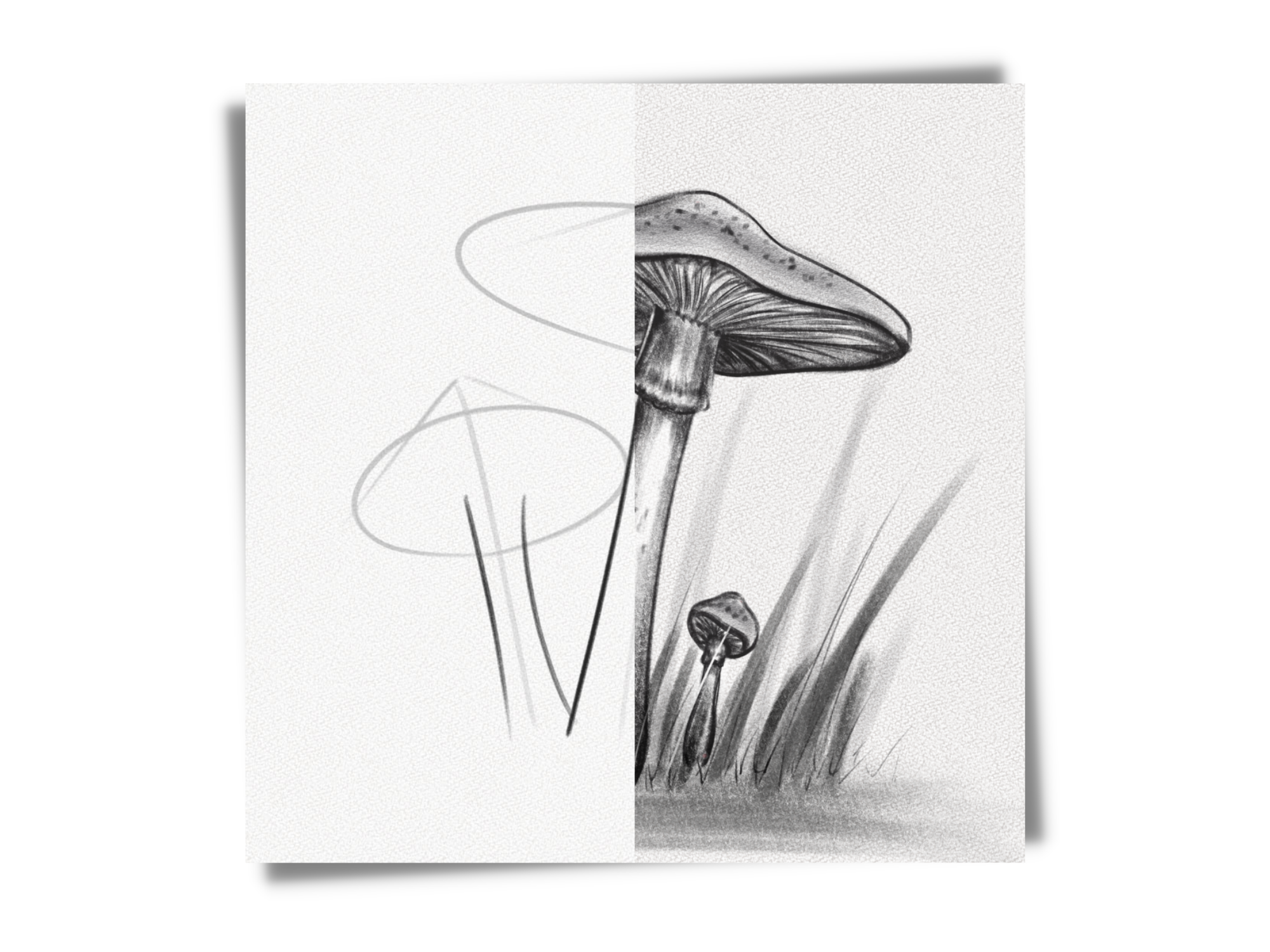 How to Draw A Mushroom – Step-by-Step Art Tutorial – Artlex