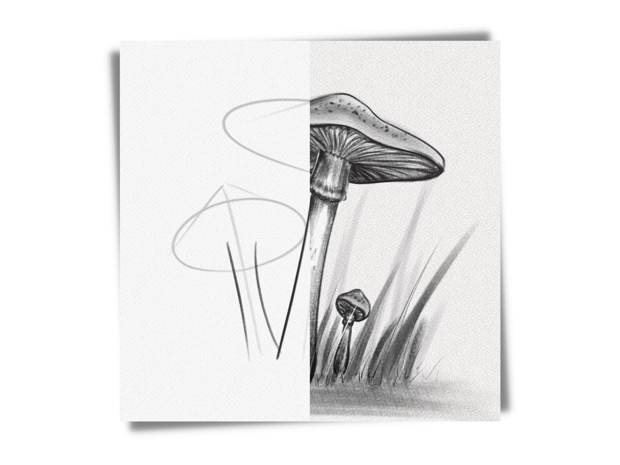 how to draw a mushroom