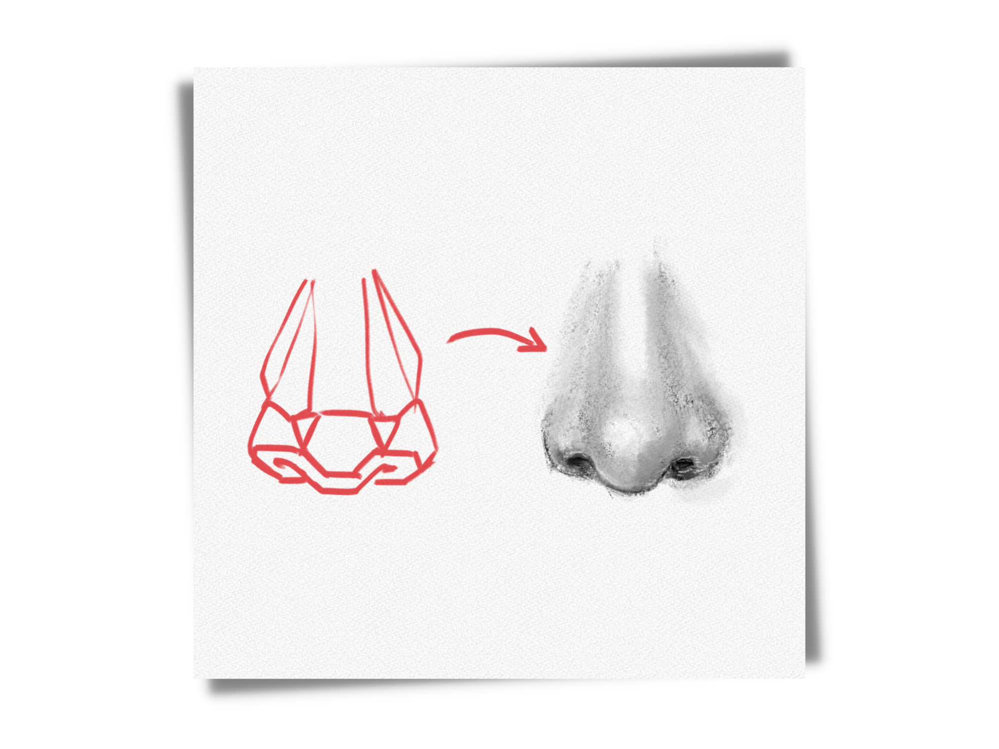 how to draw a nose