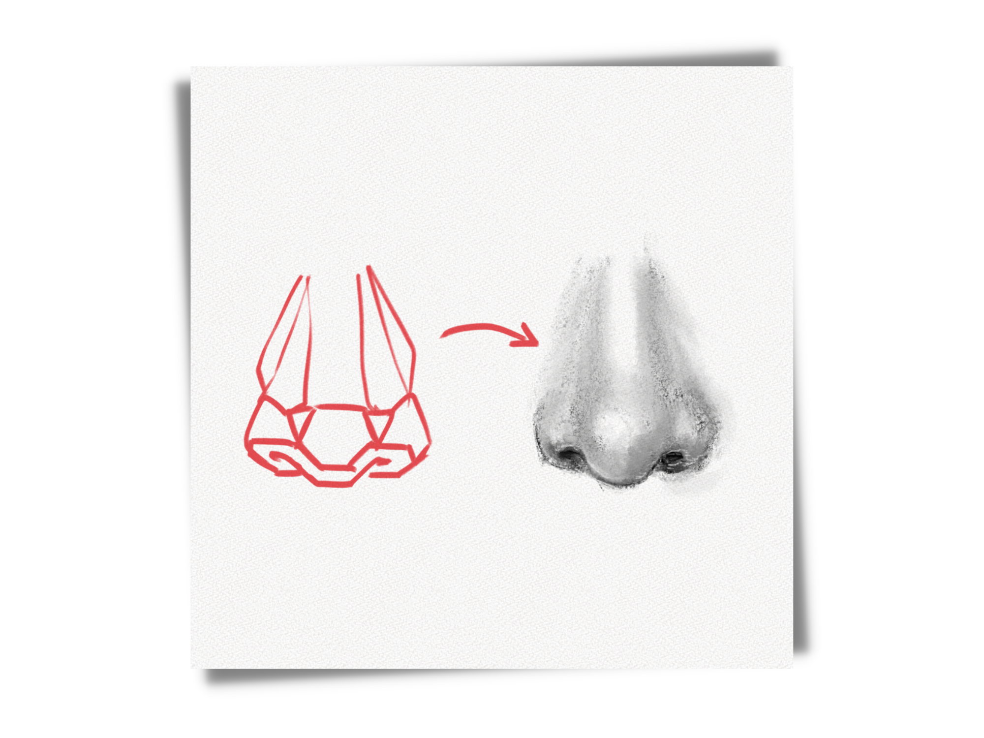 How to Draw a Fish – A Step-by-Step Tutorial – Artlex