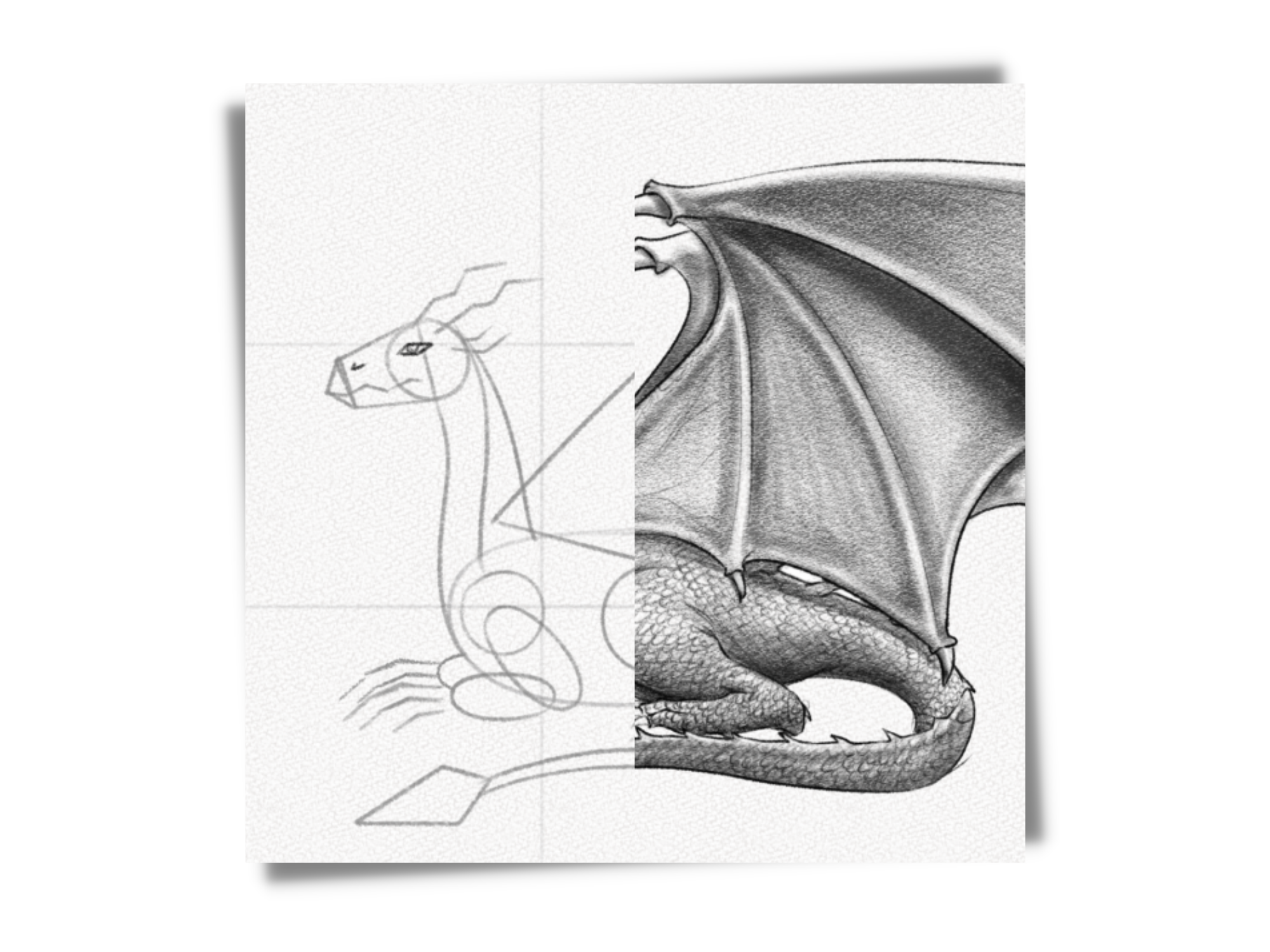 how to draw a dragon