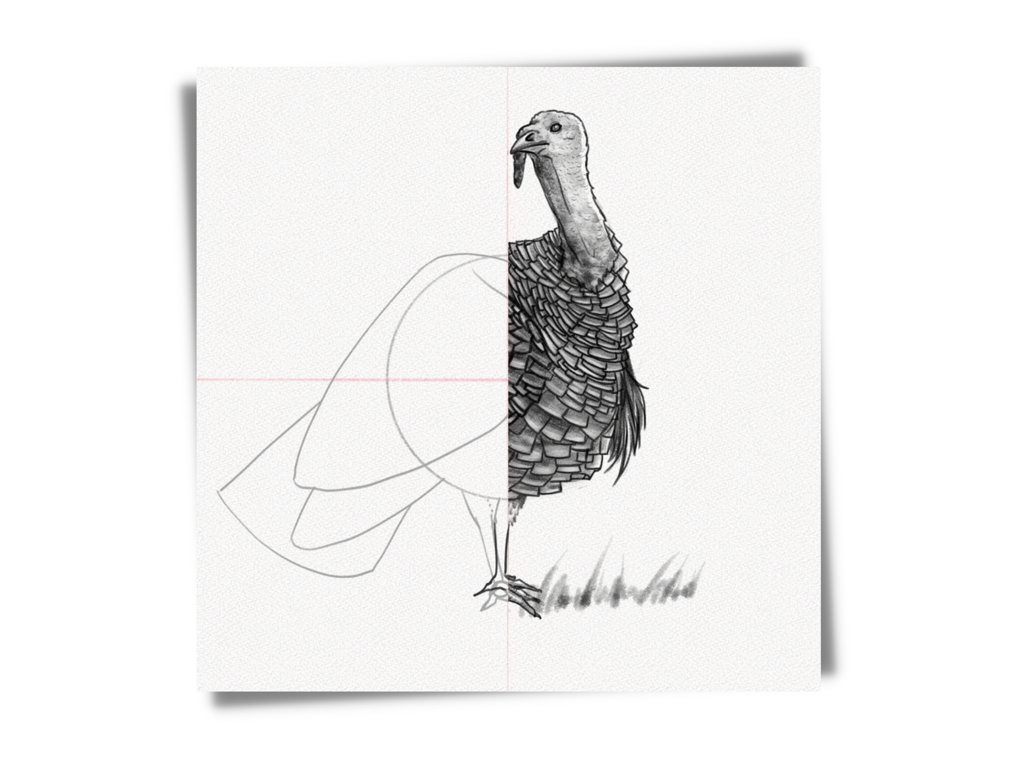 How to draw a turkey 