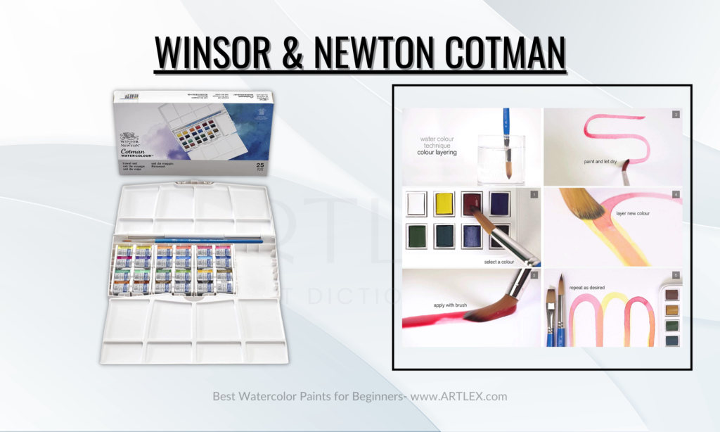 winsor & newton cotman