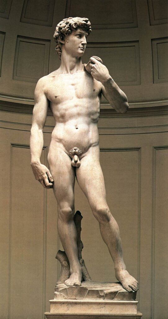 David - Michelangelo - 1504