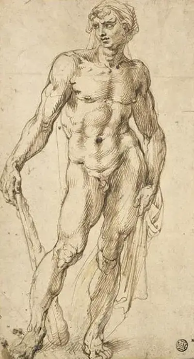 Hercules Michelangelo