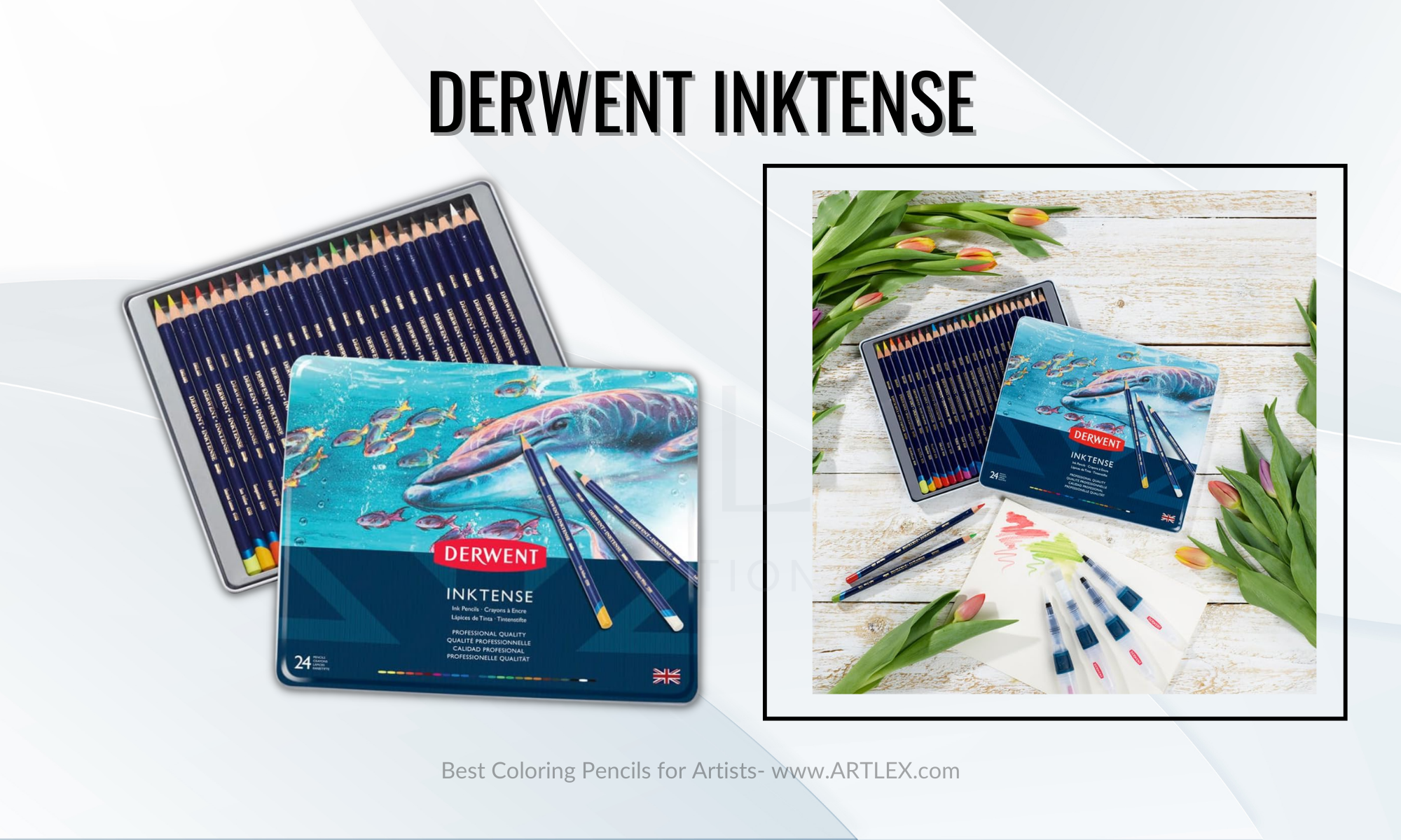 The 6 Best Coloring Pencils for Artists in 2023 (October) – Artlex